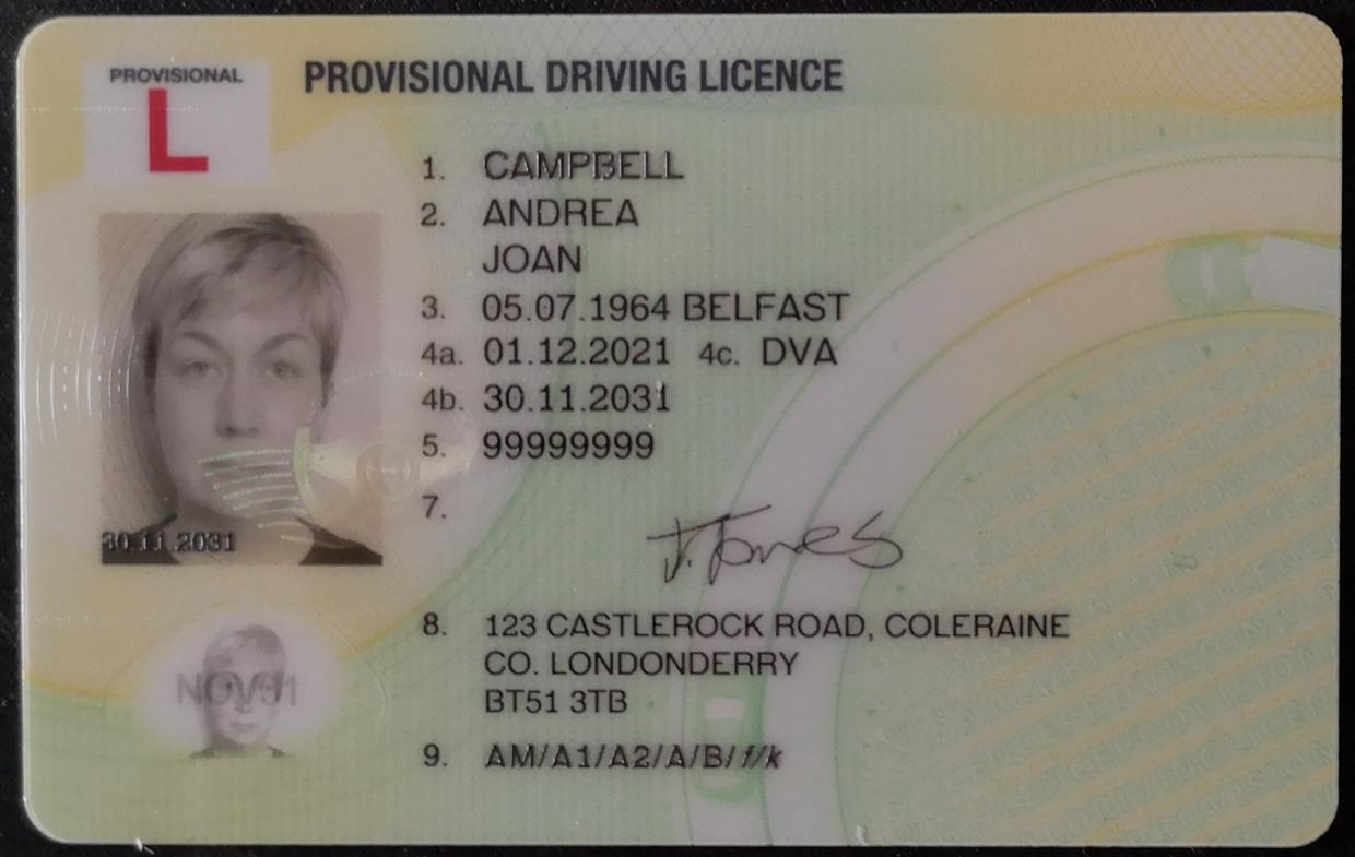 UK provisional licence