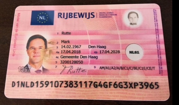how to get the dutch driving license